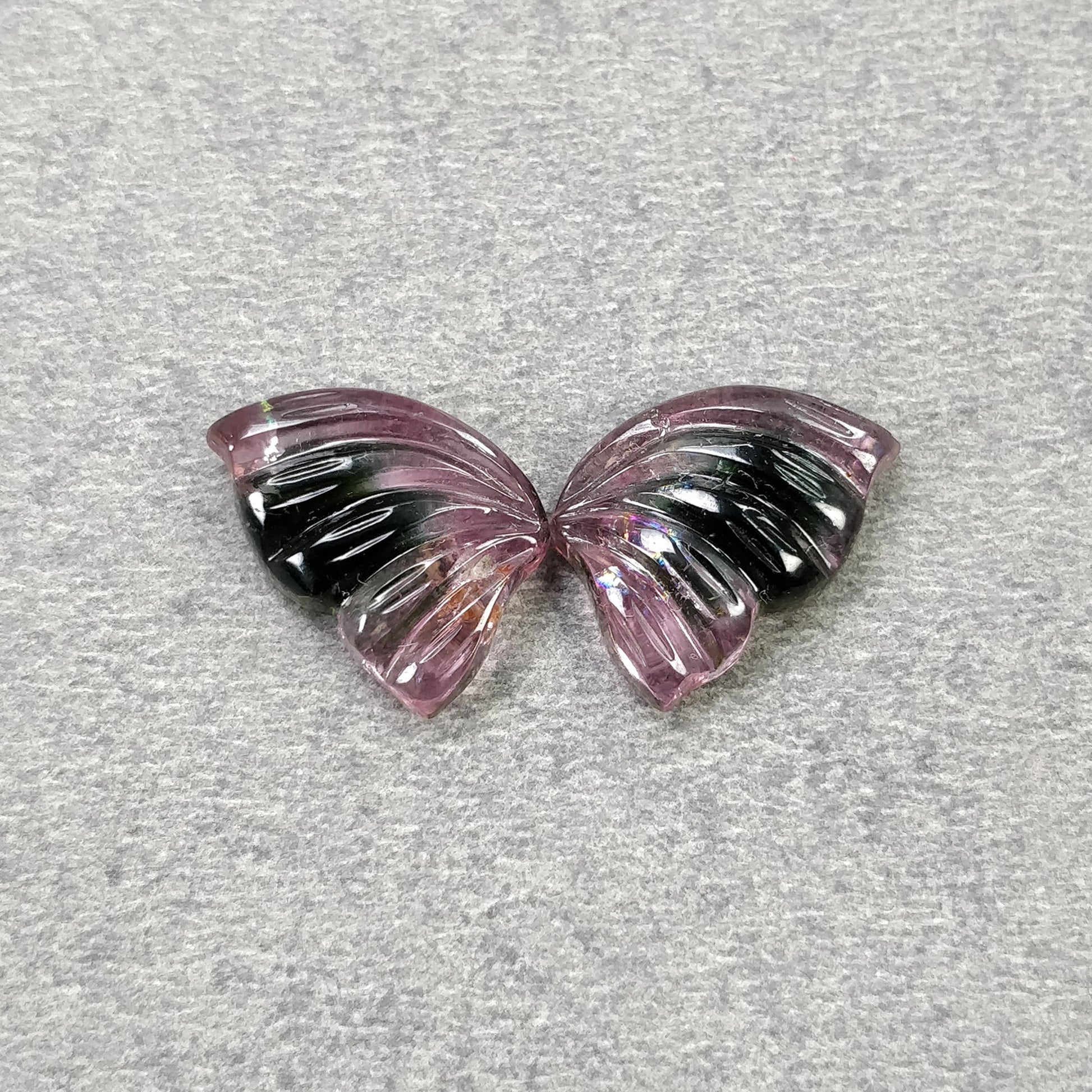 Butterfly's Pair