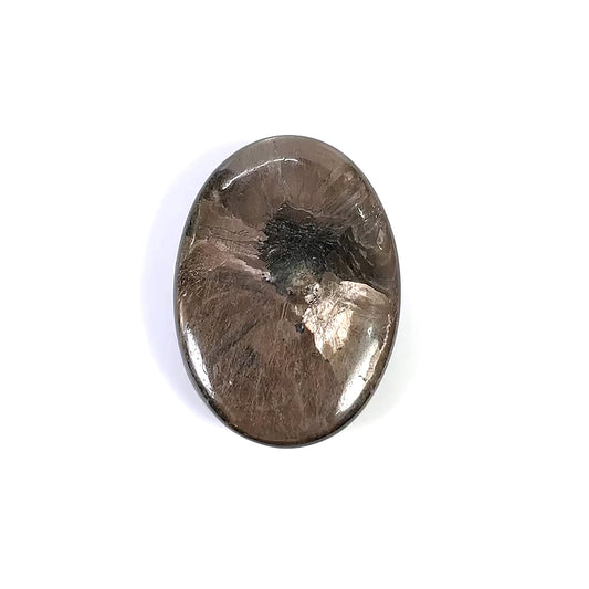 Oval Shape 