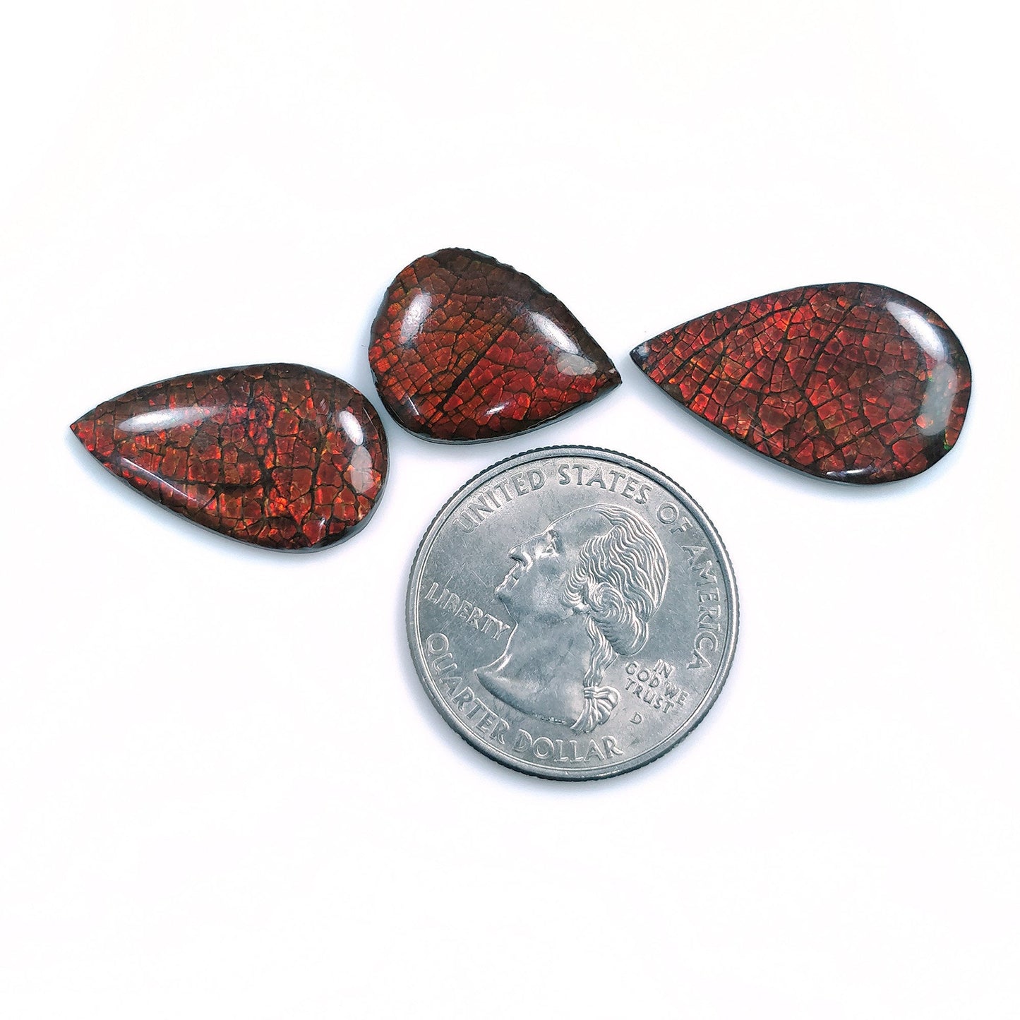 Rare Fire AMMOLITE Gemstone Cabochon : Natural Fossilized Shell Bi-Color Ammolite Pear Shape Cabochon 1pc (With Video)