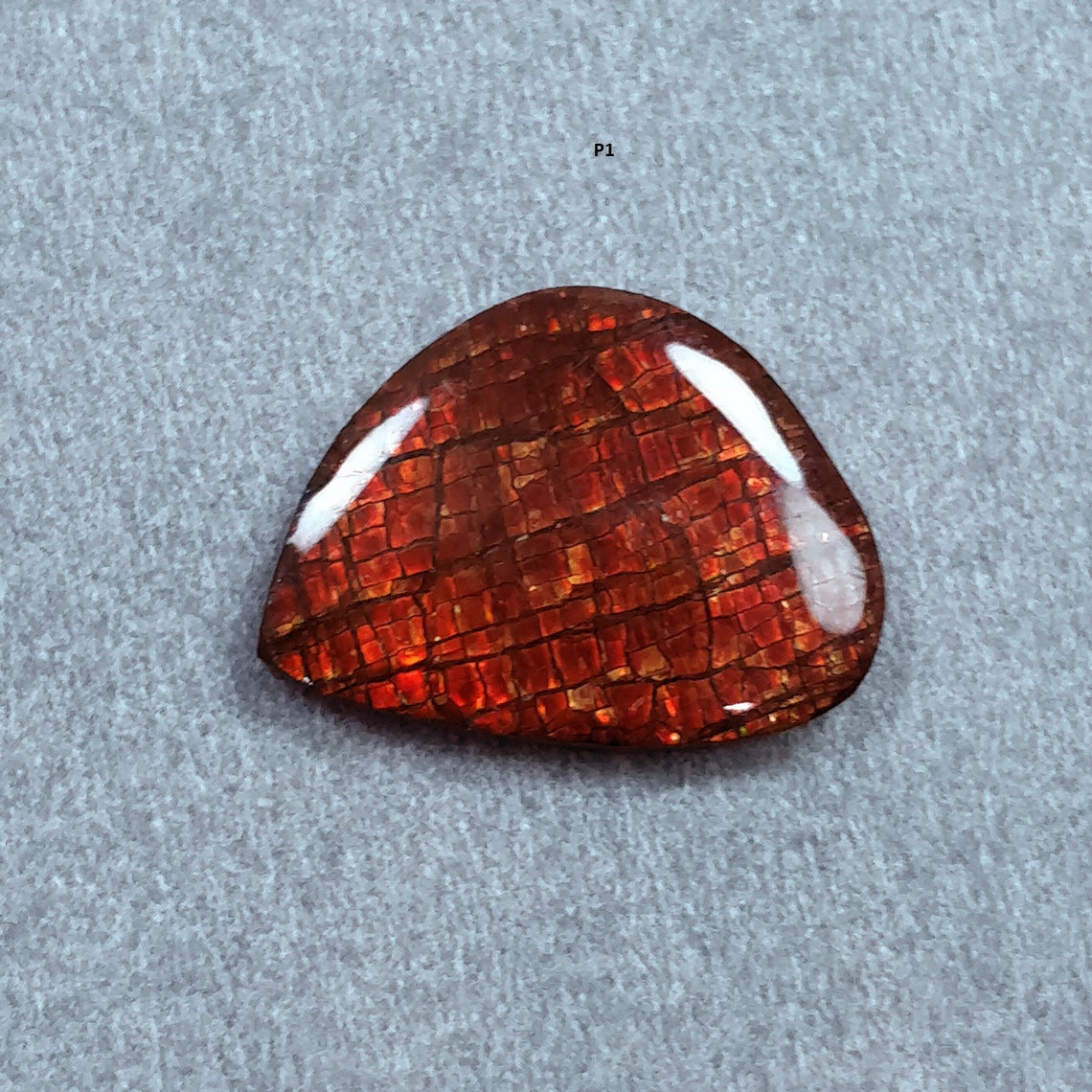 Rare Fire AMMOLITE Gemstone Cabochon : Natural Fossilized Shell Bi-Color Ammolite Uneven Shape Cabochon 1pc (With Video)