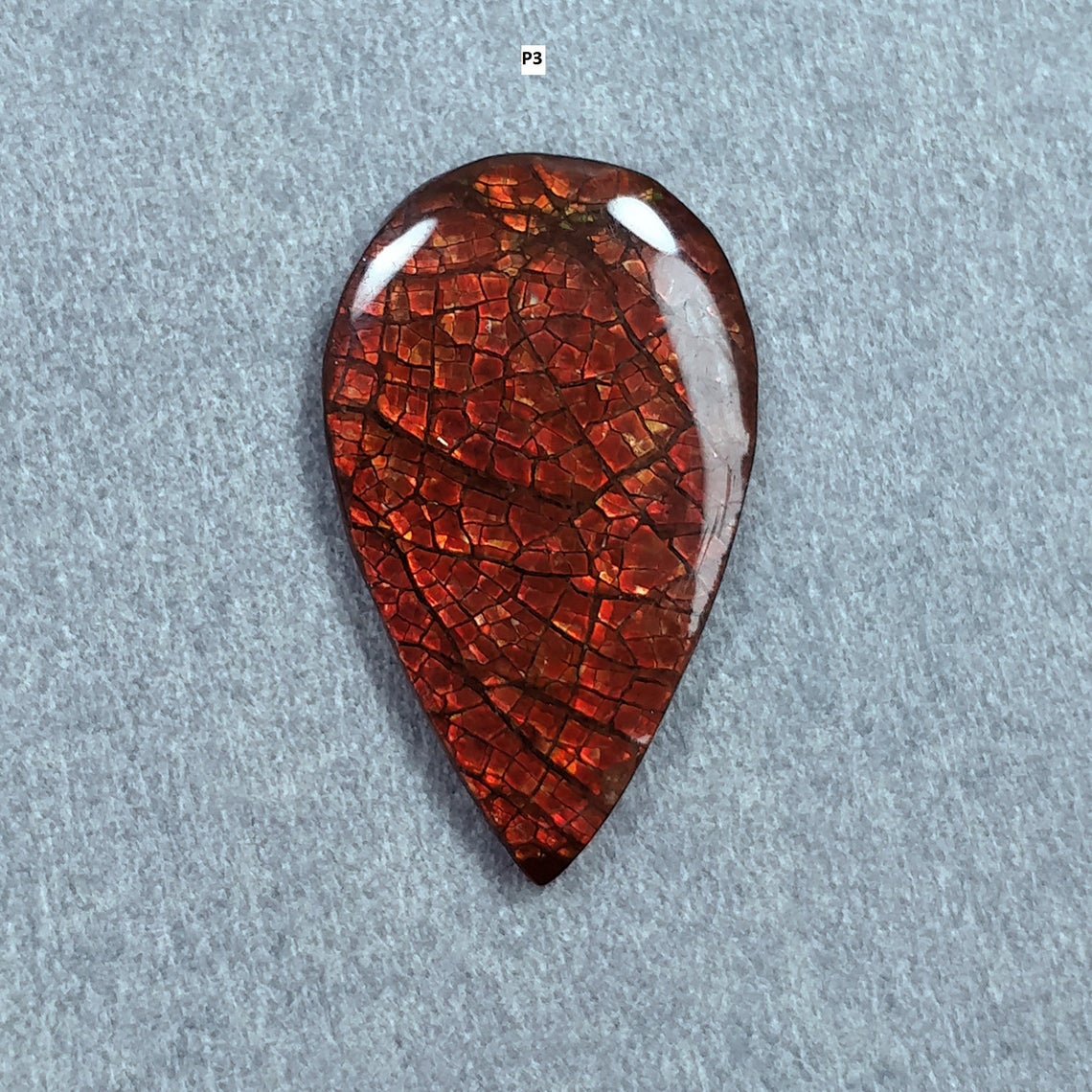 Rare Fire AMMOLITE Gemstone Cabochon : Natural Fossilized Shell Bi-Color Ammolite Pear Shape Cabochon 1pc (With Video)