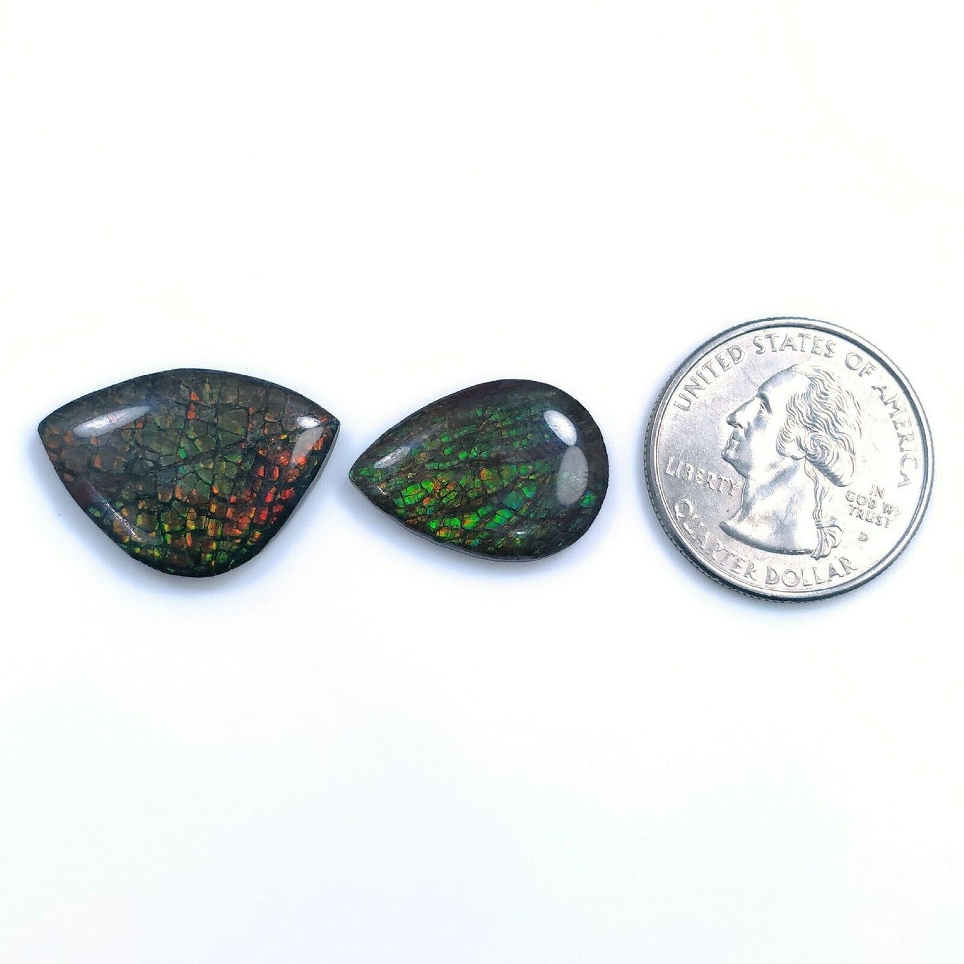 Ammolite Ring