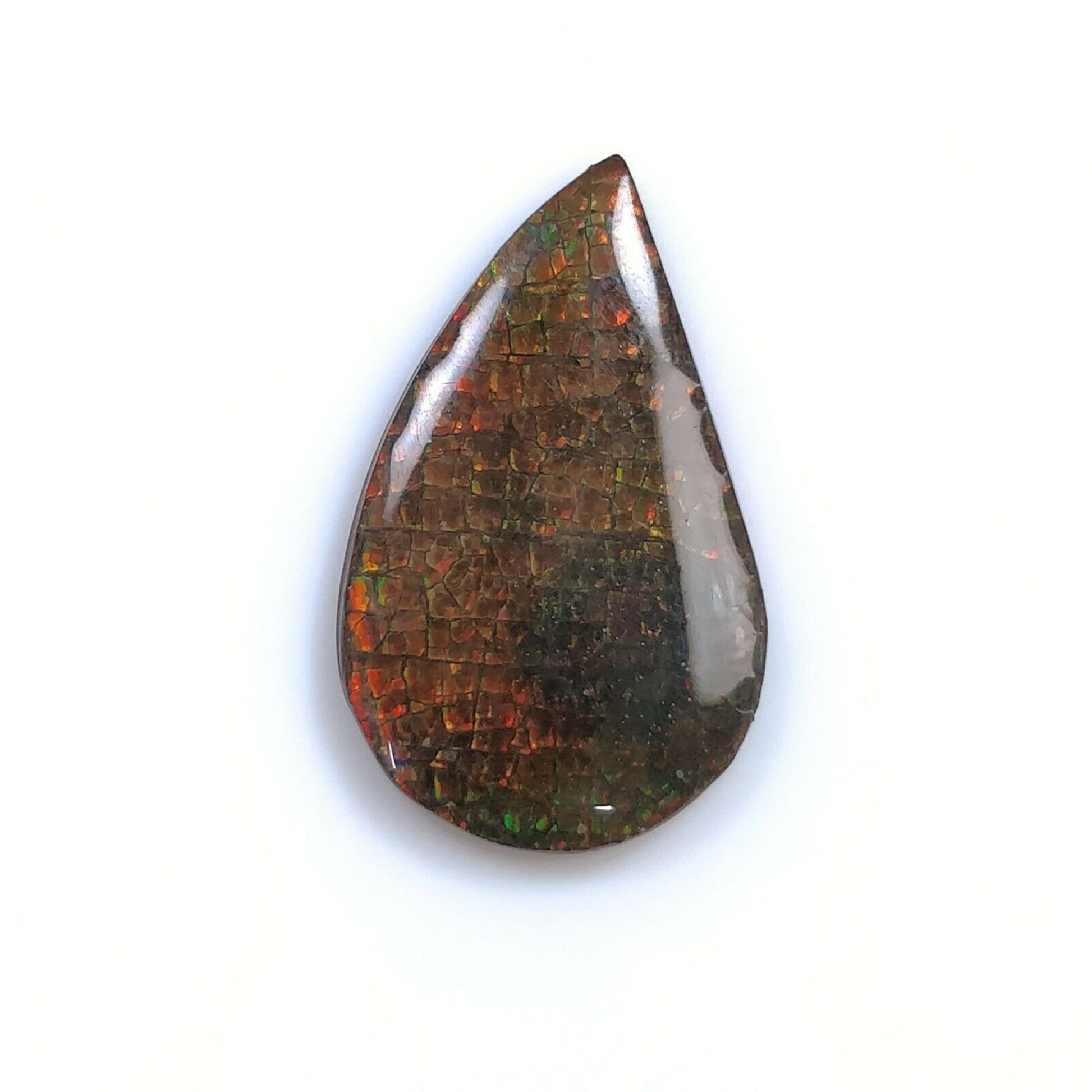 Ammolite Cabochon